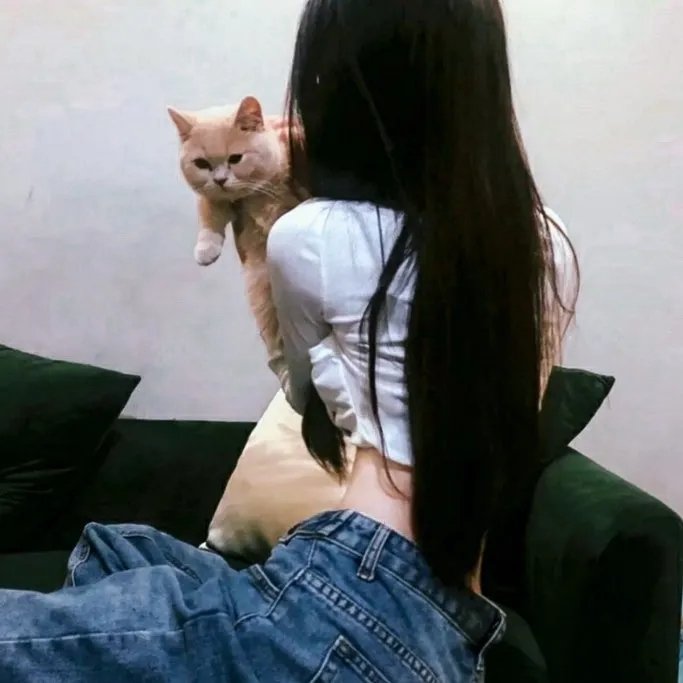 维琴河第三季
